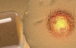 汉中那家医院做试管婴儿（汉中哪个医院检查怀孕比较好）