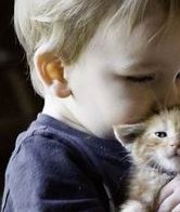 陇南武都区试管婴儿哪家好，陇南武都区试管婴儿哪家好些